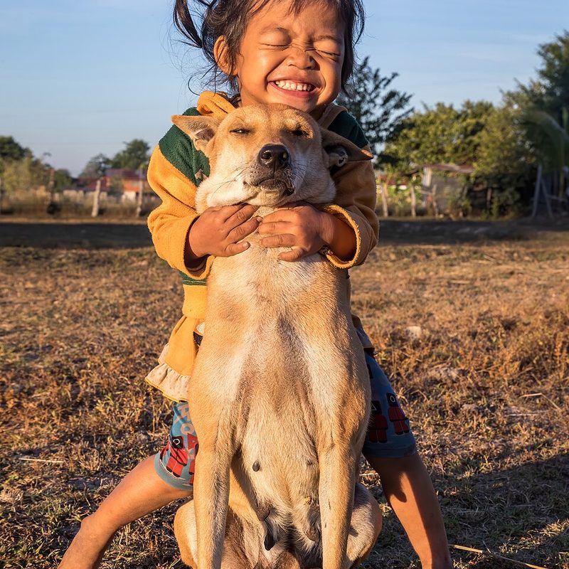 Seguro Você + Seu Pet